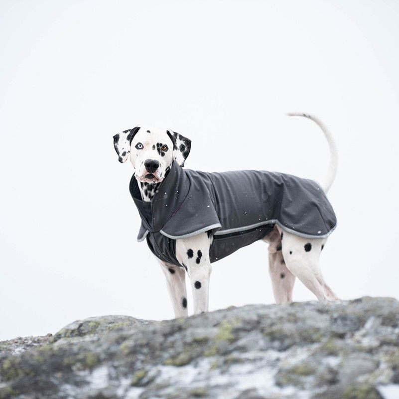 SporttiPomppa Graphite