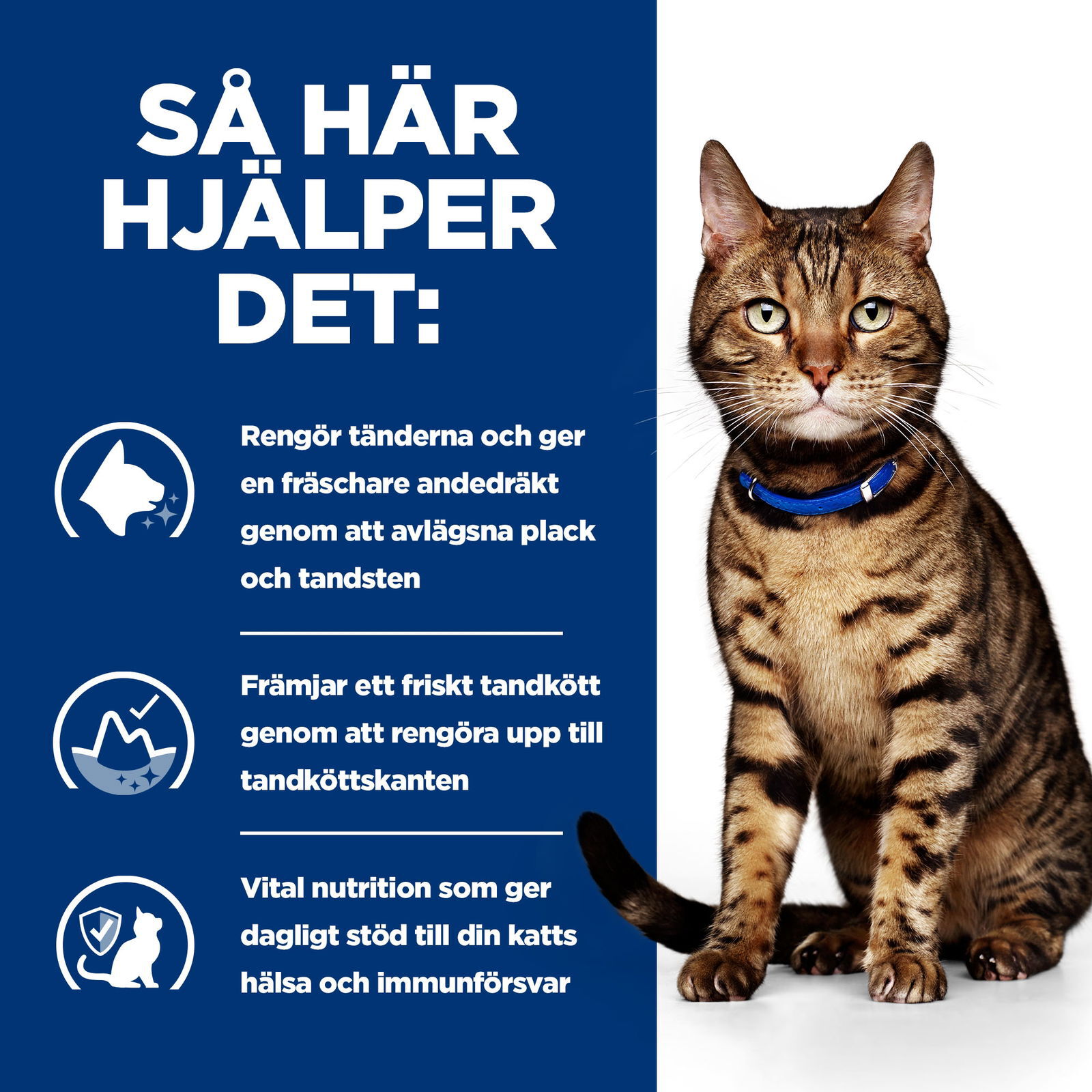 Hills Diet Cat t/d 1,5kg