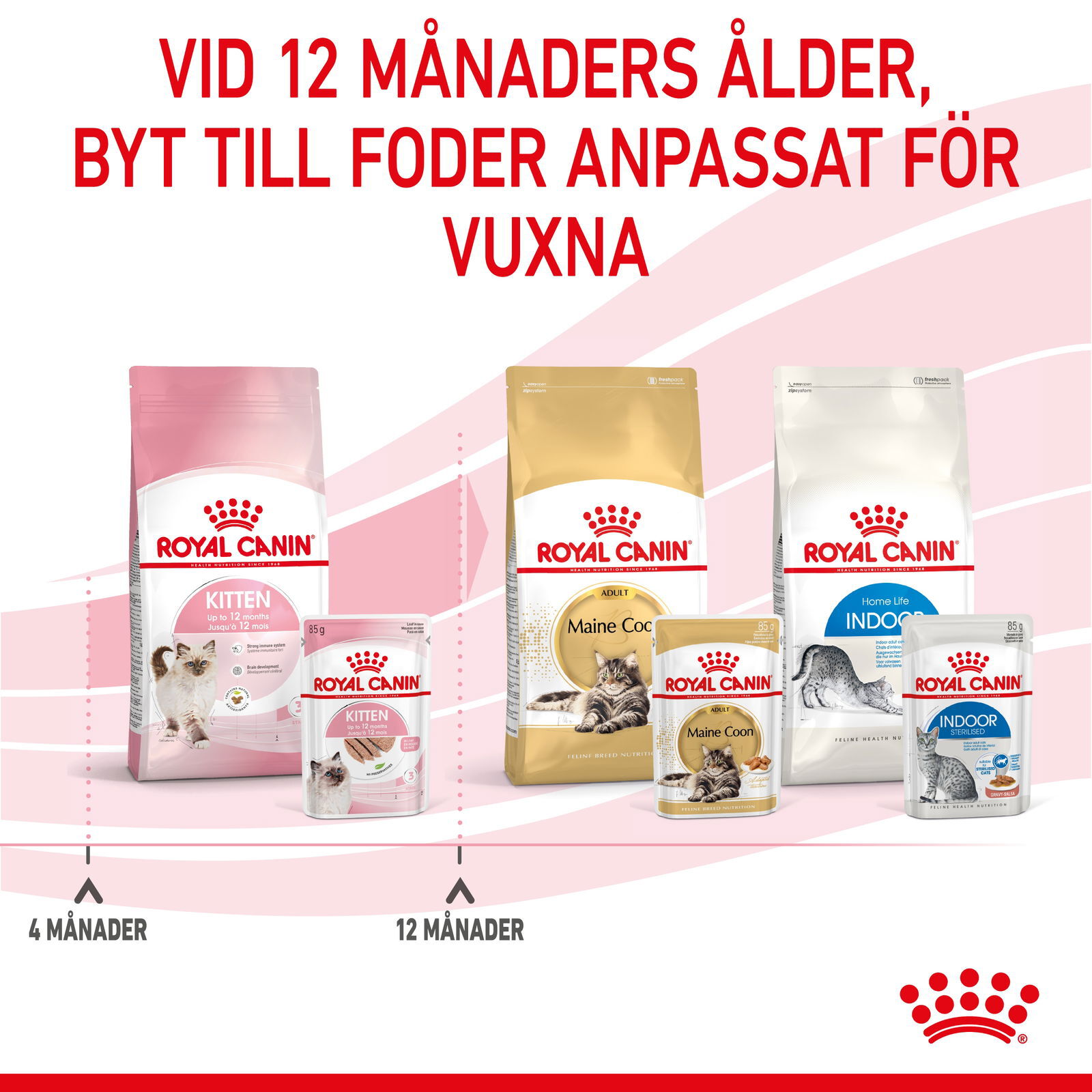 Royal Canin Kitten Loaf våtfoder för kattunge