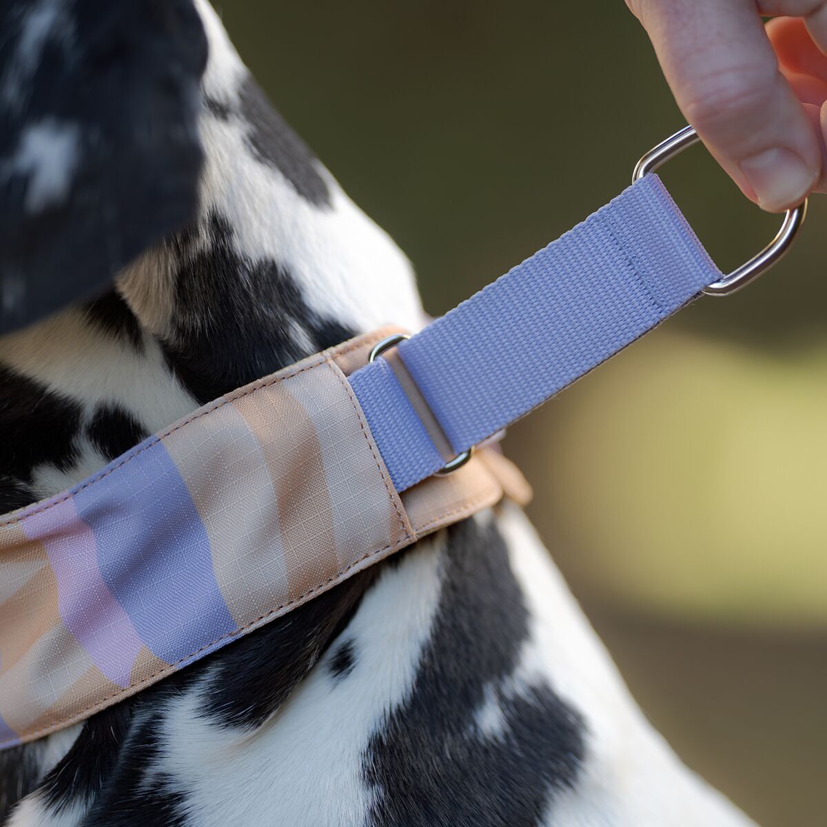 Woolly Wolf Sunshower Soft Martingale Collar