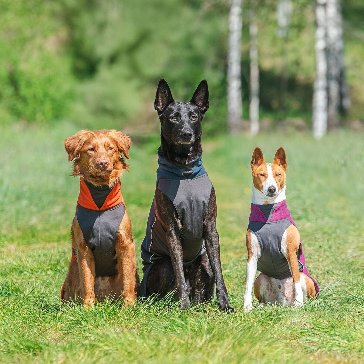 JumppaPomppa Habanero