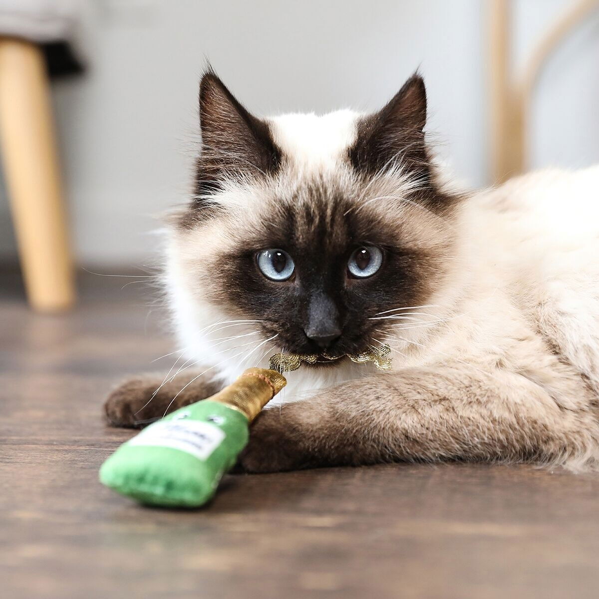 Quirky Kitty WINE AND CHEESE CATNIP PLUSH 2PK