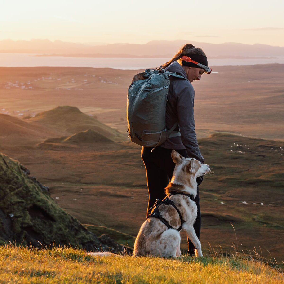Ruffwear Ridgeline Harness Obsidian Black