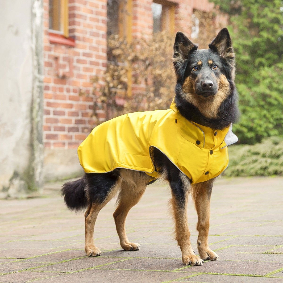 Rukka Stream Regntäcke Gul