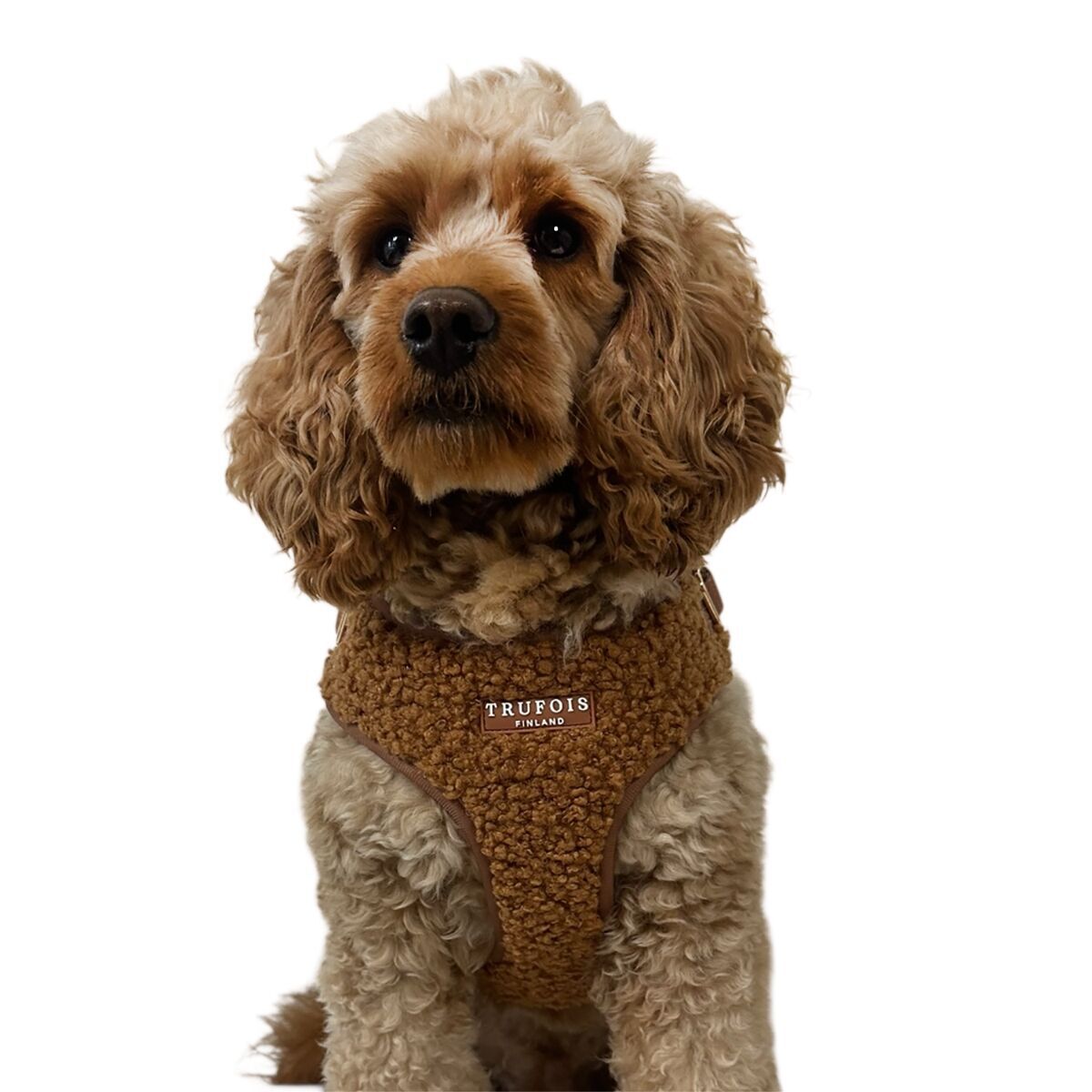 Trufois Lite Harness Chocolate Brown