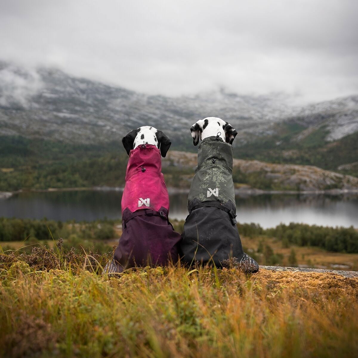 Non-Stop Fjord raincoat, purple