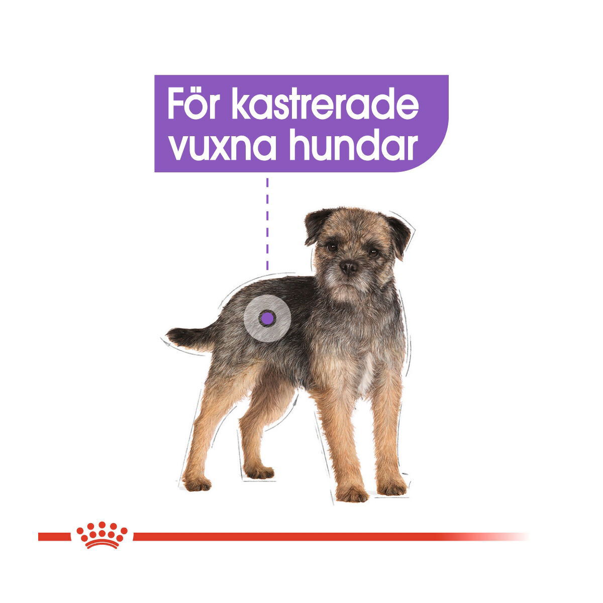 Royal Canin Sterilised Adult Loaf våtfoder för hund