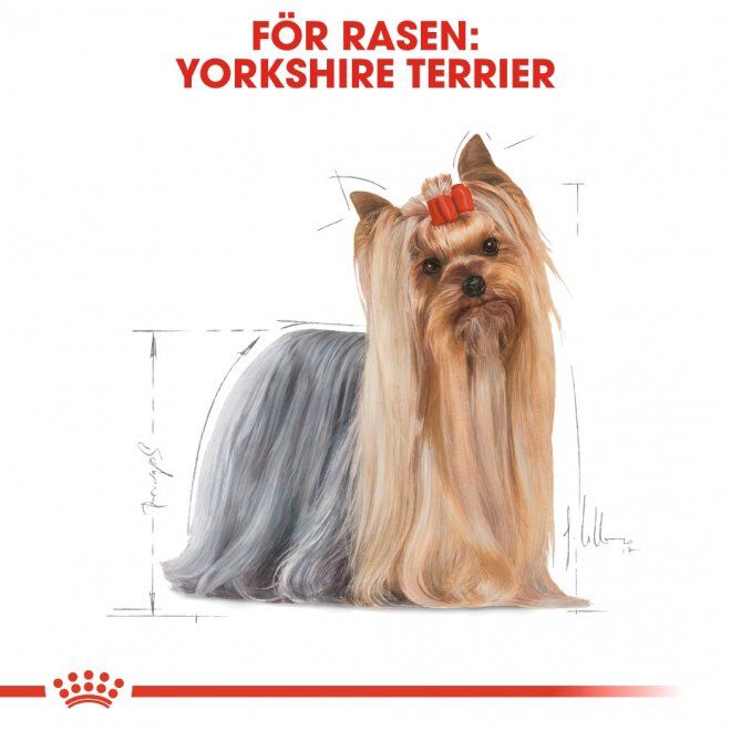Royal Canin Yorkshire Terrier Adult Loaf våtfoder för hund
