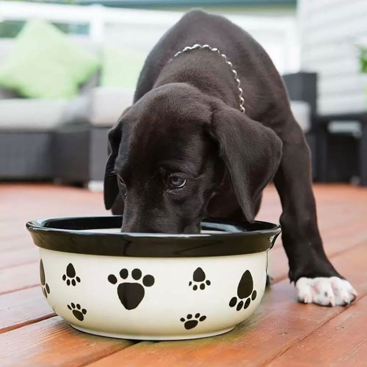 Vet's Best Dental Breath Fresh 500ml