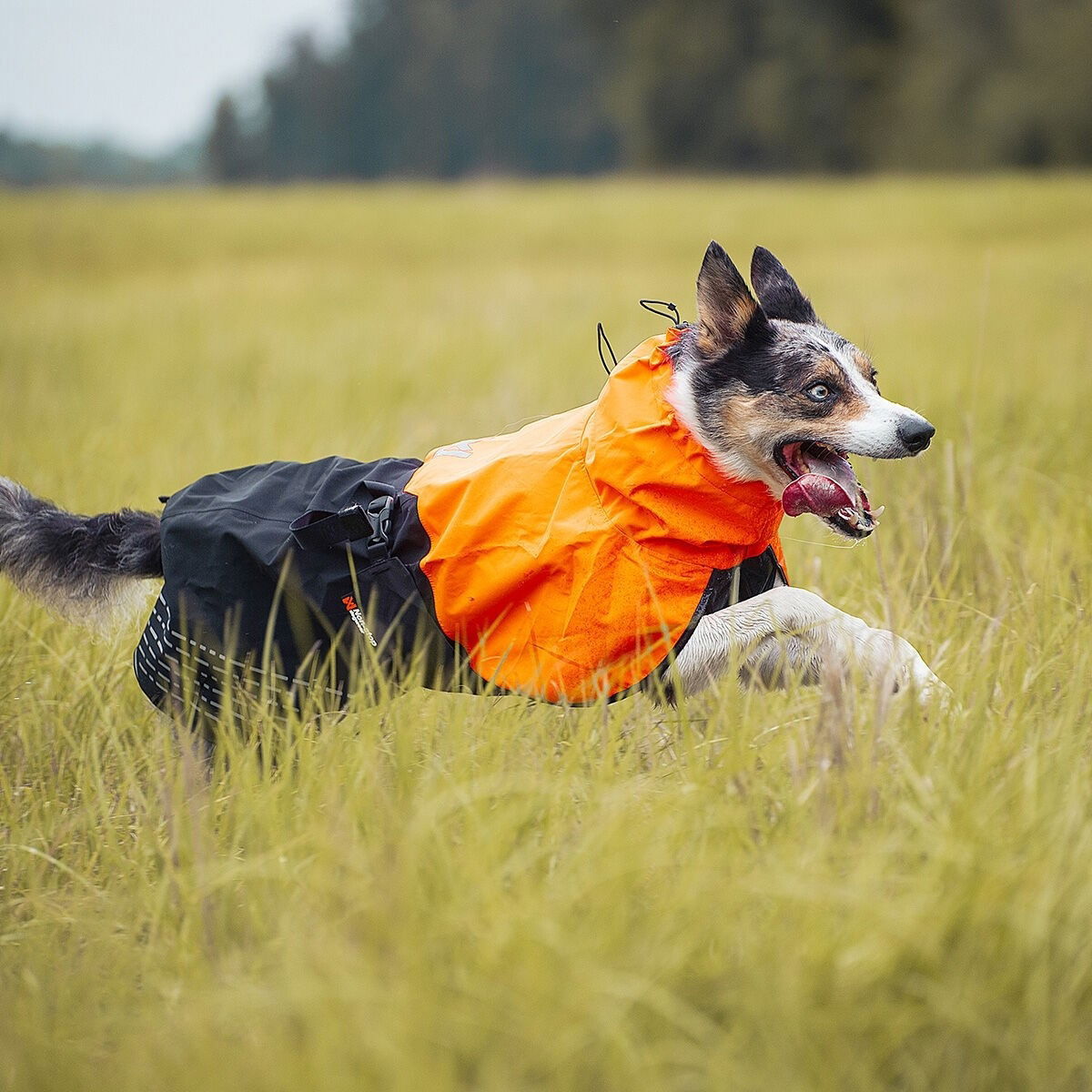 Non-Stop Fjord raincoat black/orange