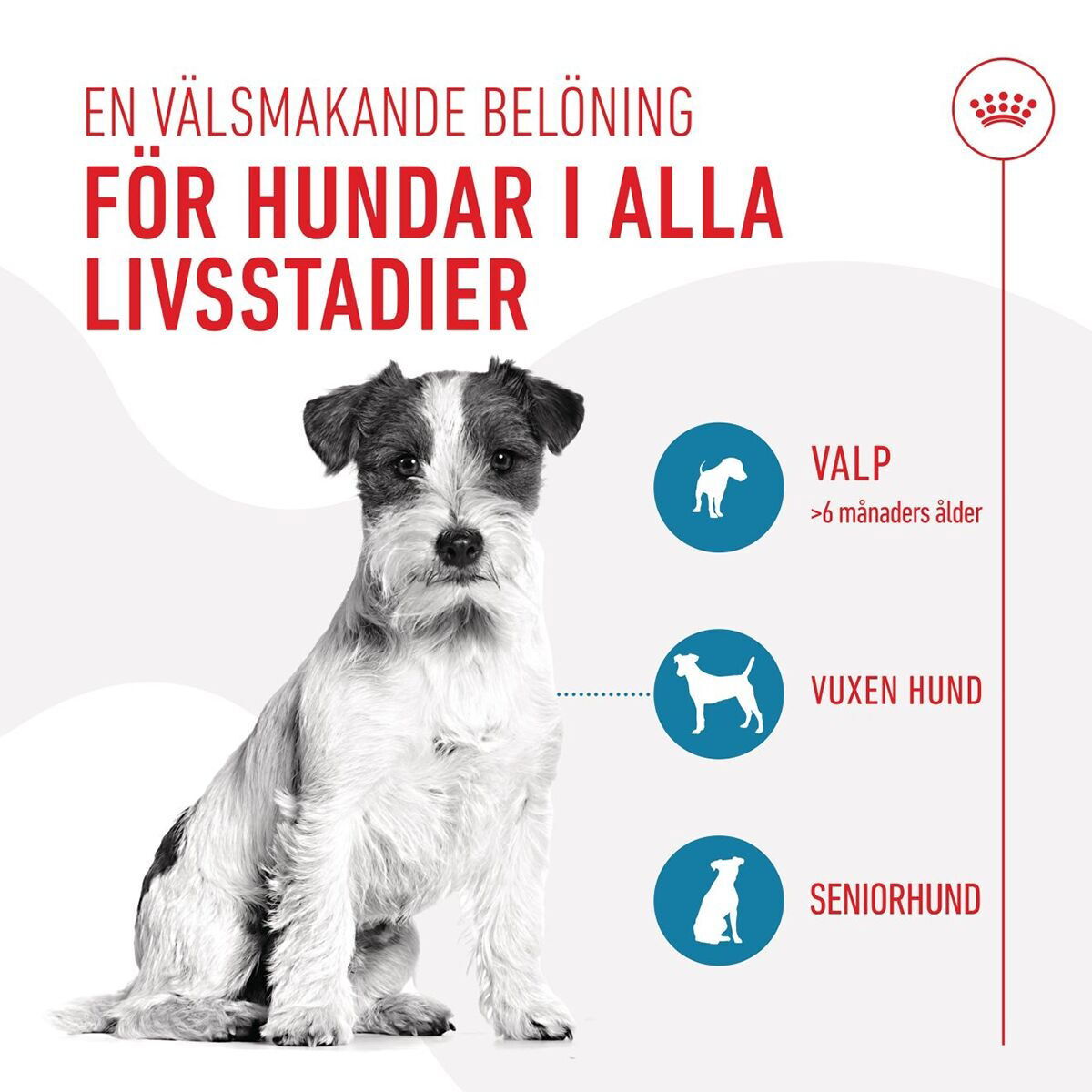 Royal Canin Dog Training Treats 110g