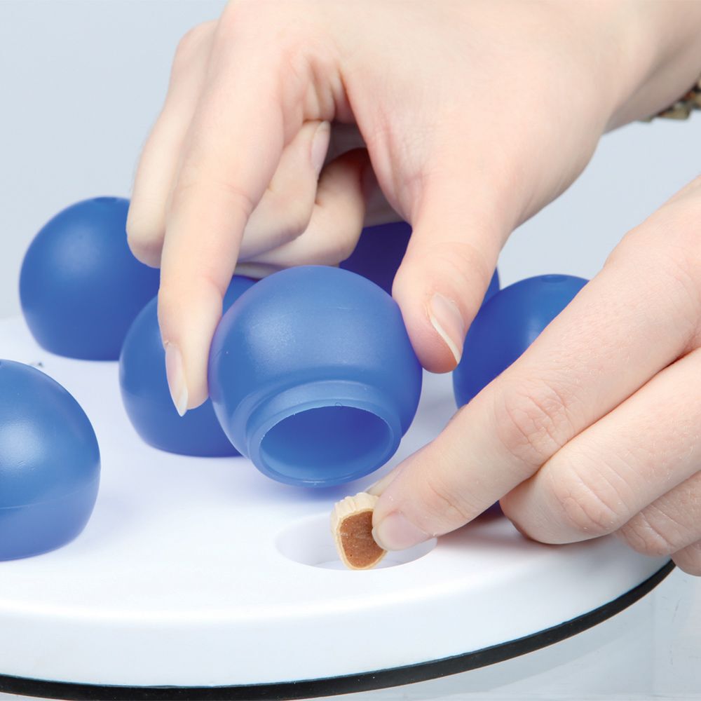 Trixie Katt Aktivetsspel Solitaire