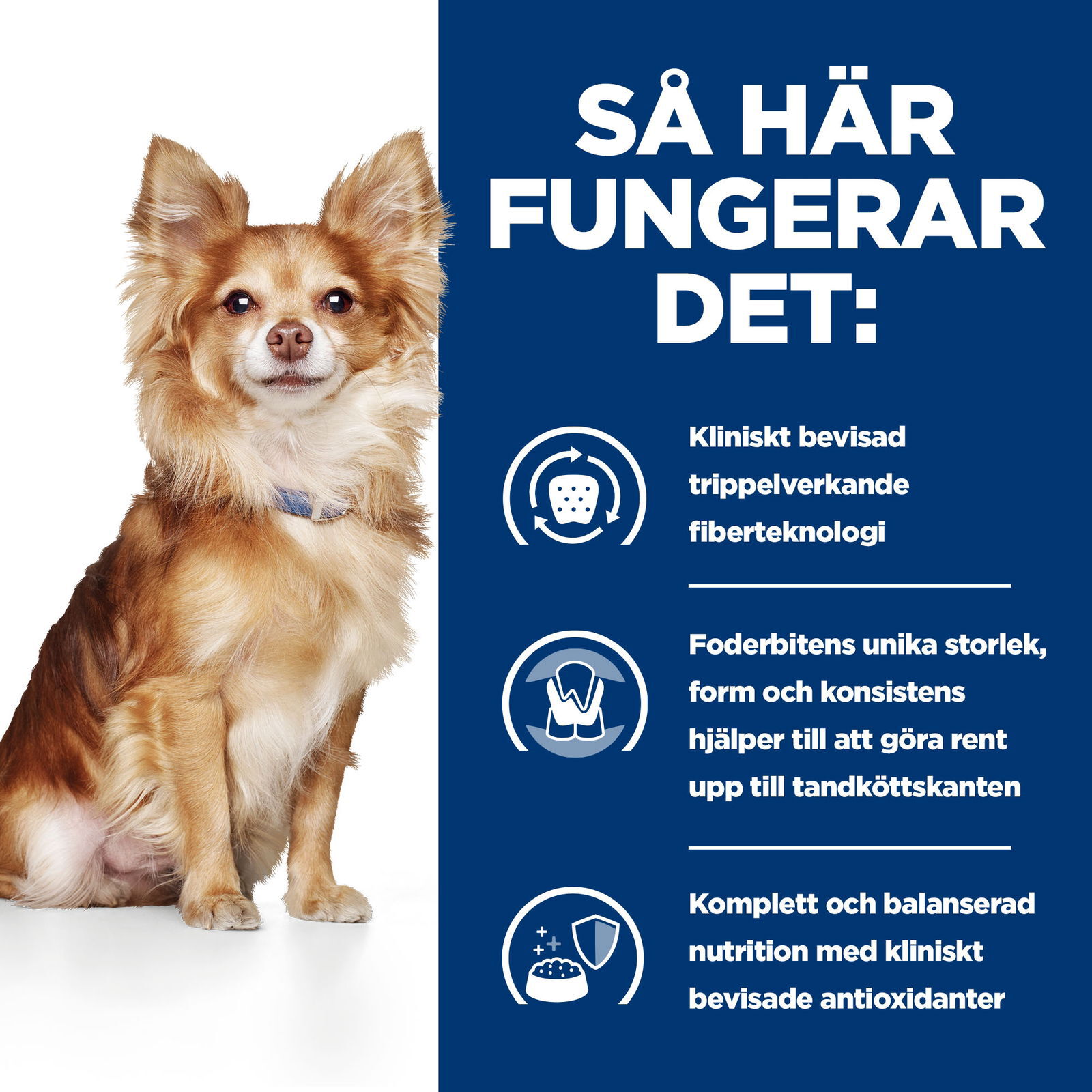 Hills Diet Dog t/d Mini 3kg