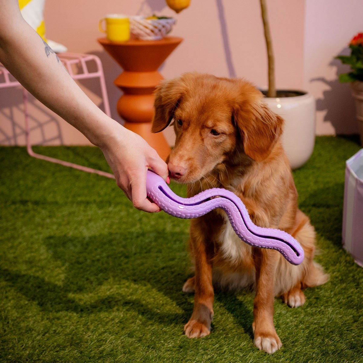 Little&Bigger TPR Snake lilac S