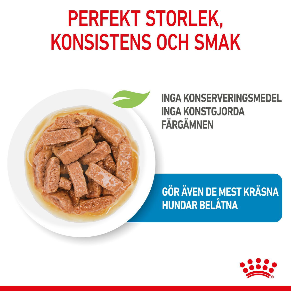 Royal Canin Maxi Puppy Gravy våtfoder för hundvalp