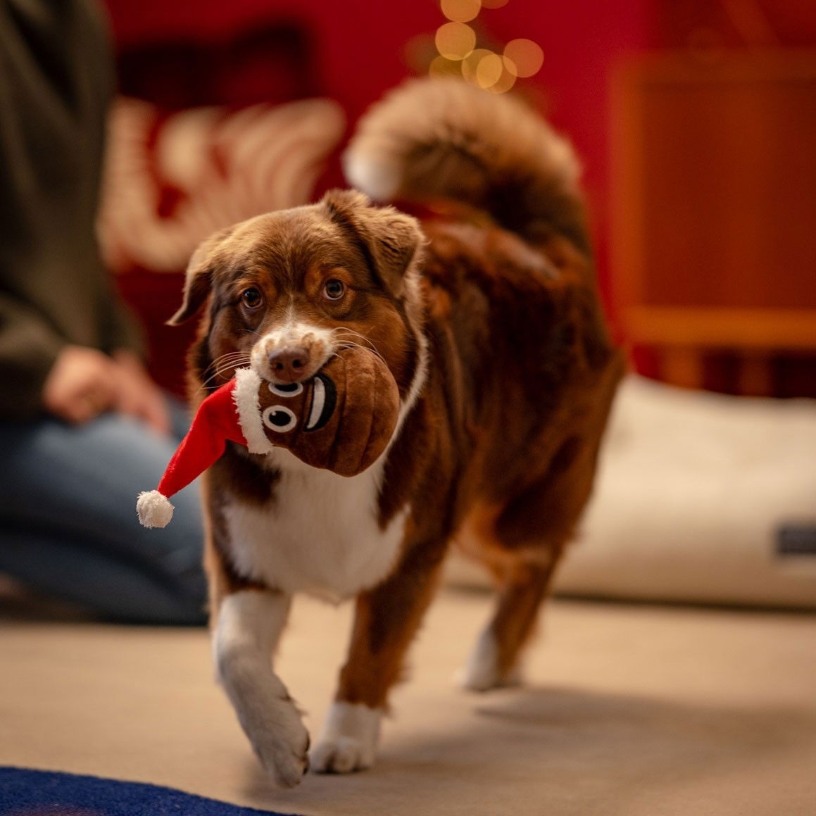 Little&Bigger Seasons Classics Xmas-poop