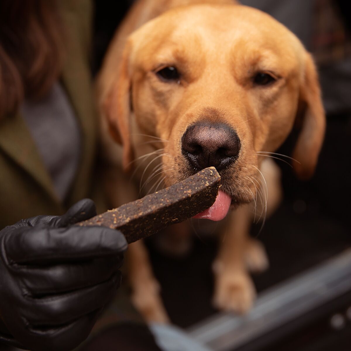 ESSENTIAL Lamb&Venison Bars 100g