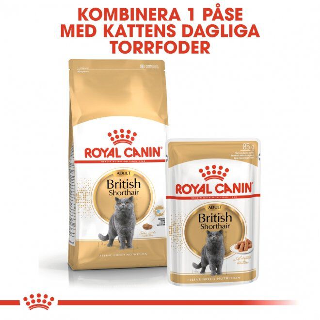 Royal Canin British Shorthair Adult torrfoder för katt