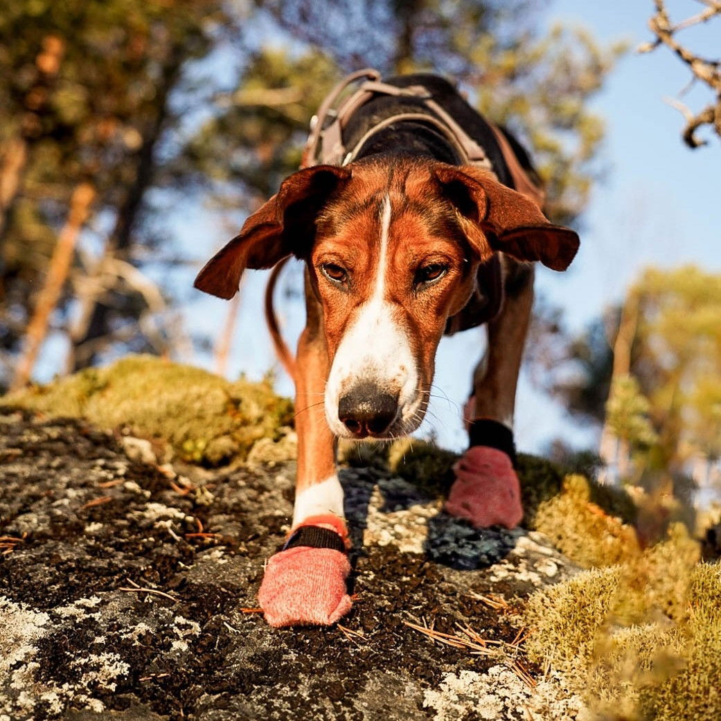Non-Stop Protector light socks 4-pack