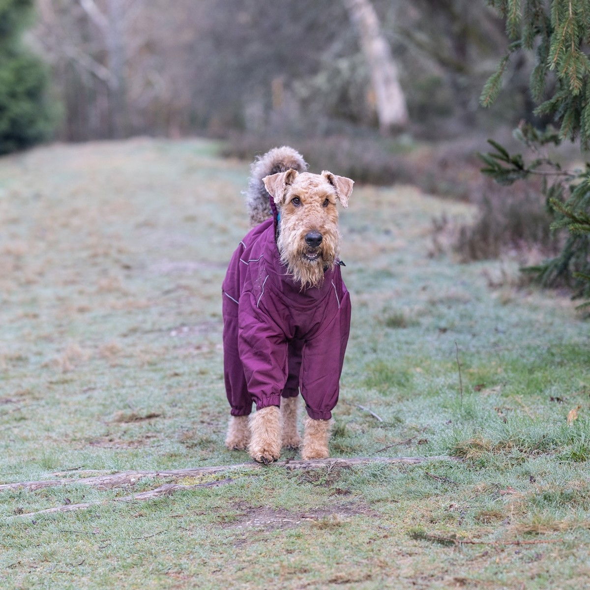 Rukka Thermal overall wine