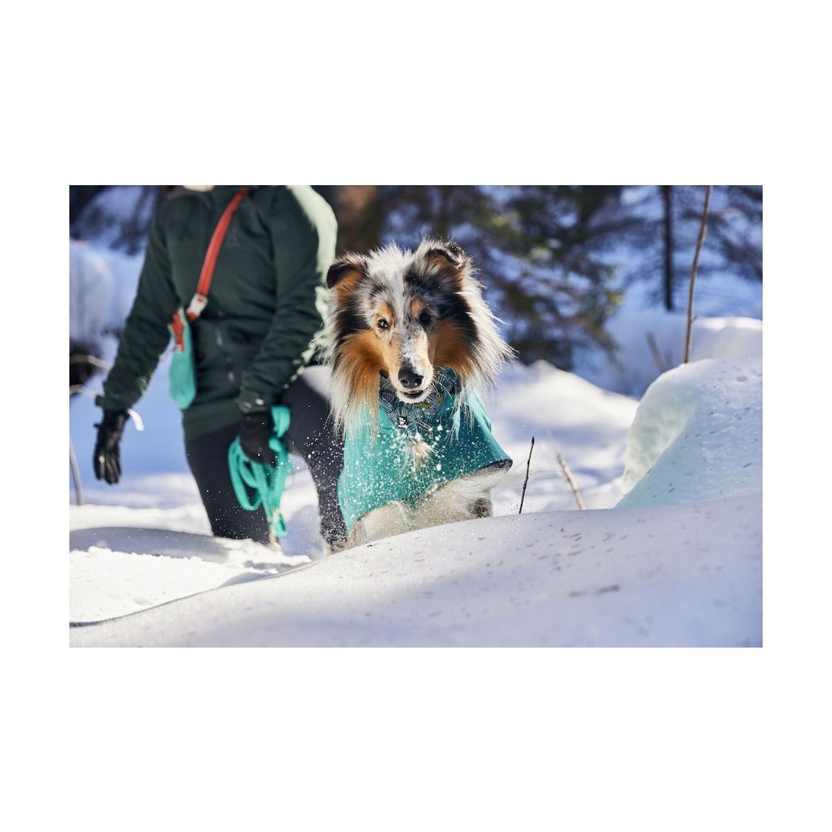 Hurtta Monsoon Coat II ECO peacock