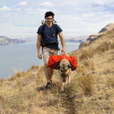 Ruffwear Palisades Klövjeväska Röd