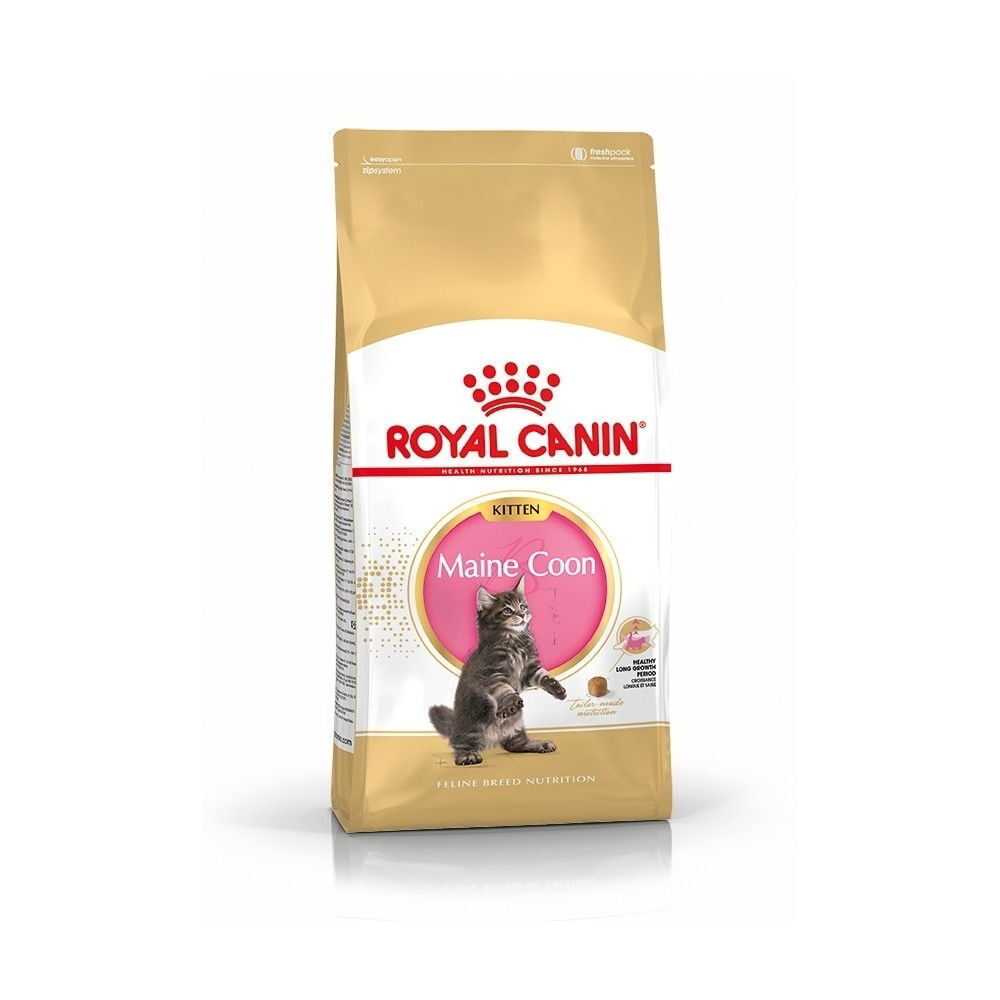 Royal Canin Maine Coon Kitten torrfoder för kattunge