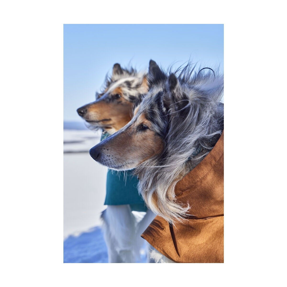 Hurtta Monsoon Coat II ECO desert