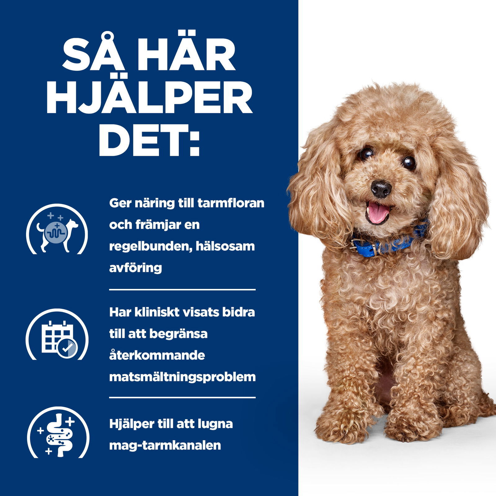 Hill's Prescription Diet Canine GI Biome Mini