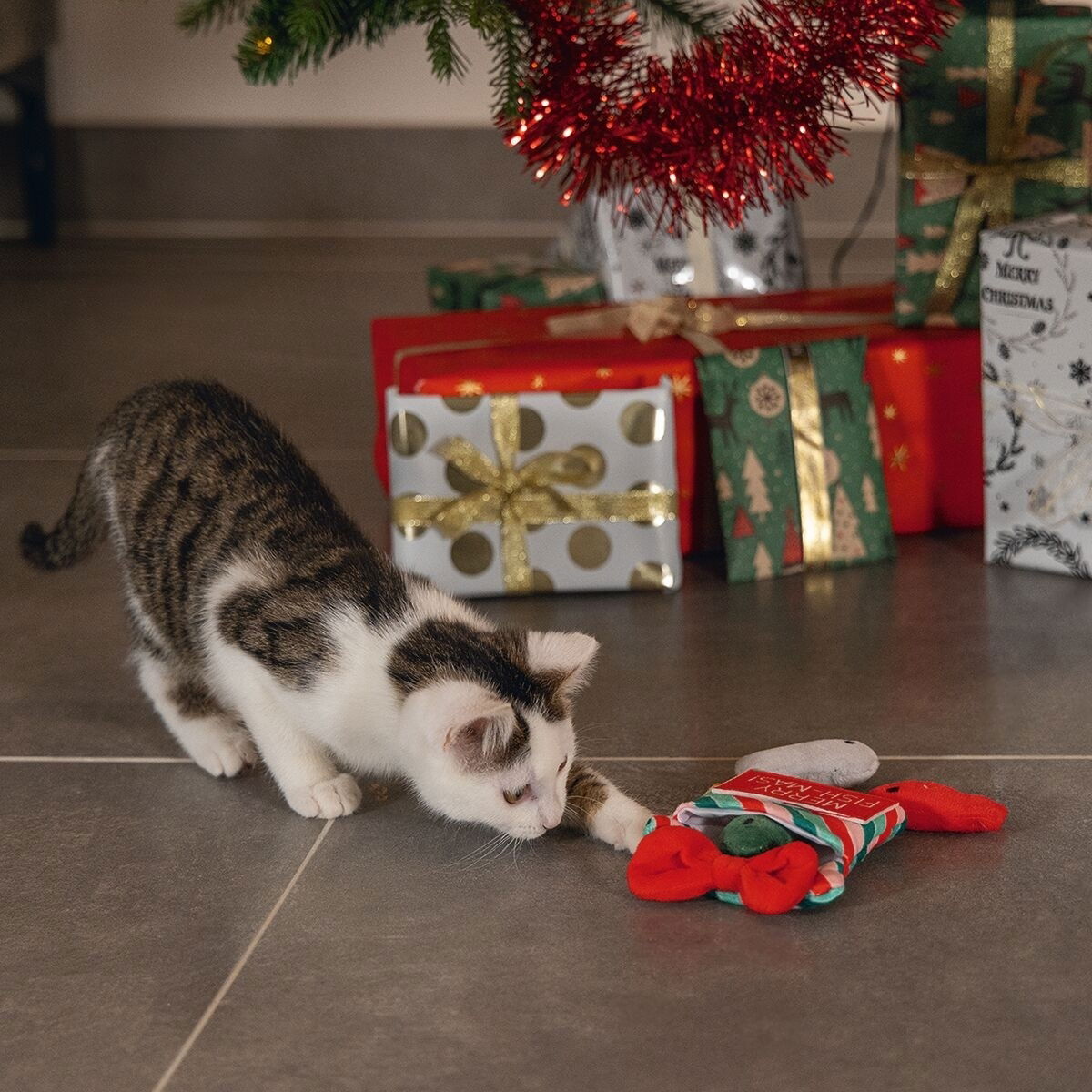 Beeztees Xmas Present Fish