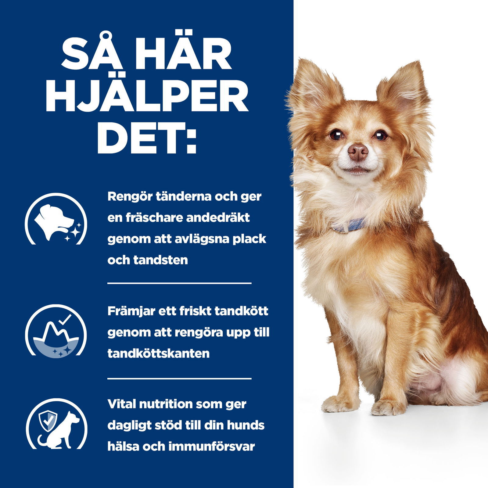 Hills Diet Dog t/d Mini 3kg