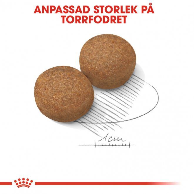 Royal Canin Maxi Adult torrfoder för hund