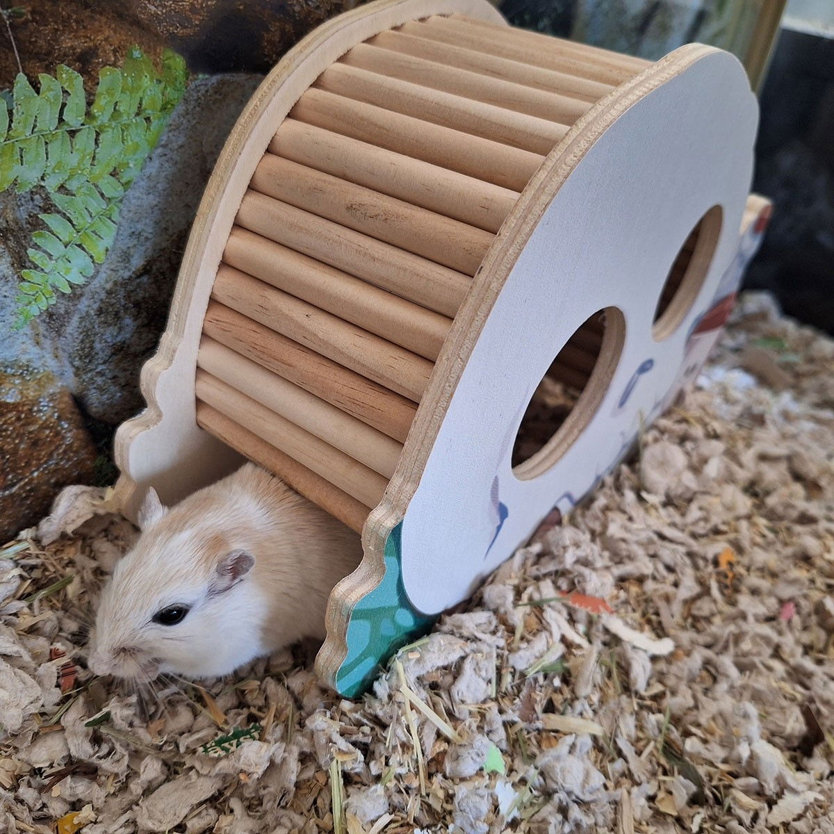 Duvoplus Small animal wooden house, skull