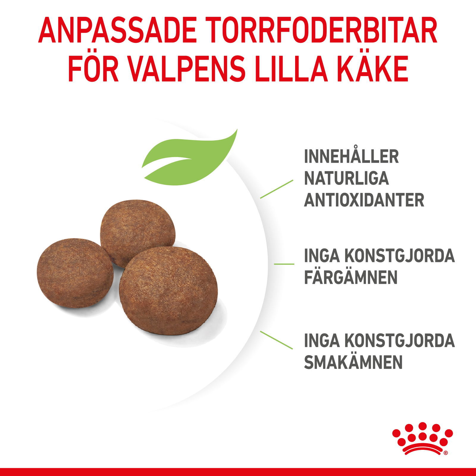 Royal Canin Medium Puppy torrfoder för hundvalp