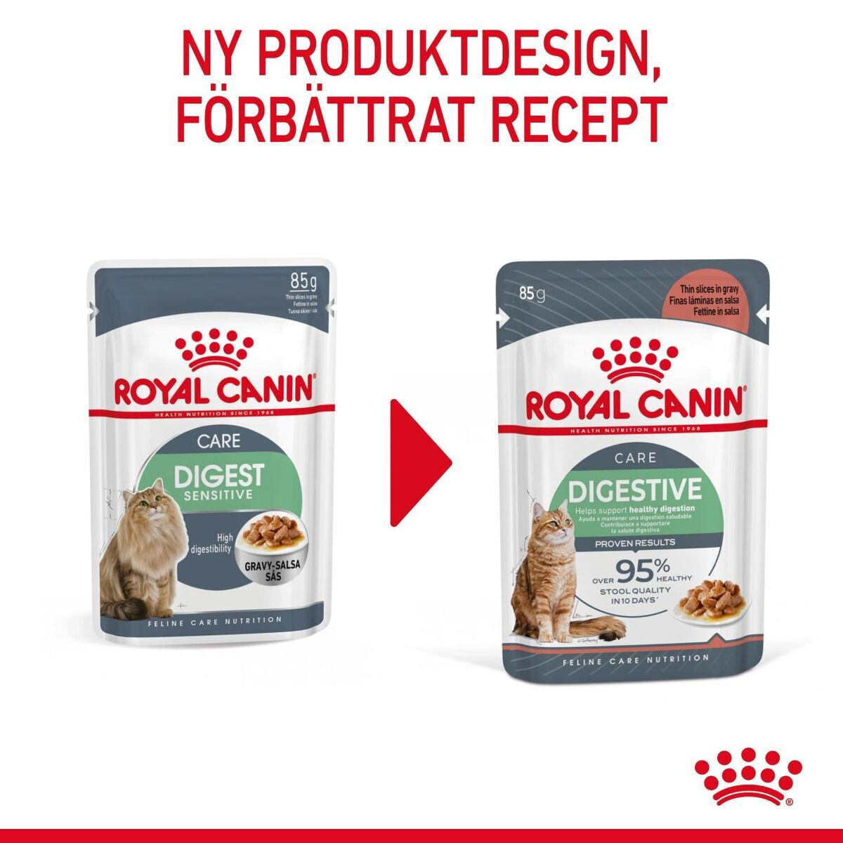 Royal Canin Digestive Care Gravy Adult våtfoder för katt