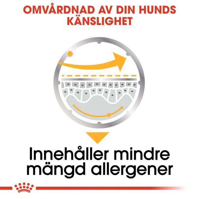 Royal Canin Dermacomfort Adult Loaf våtfoder för hund