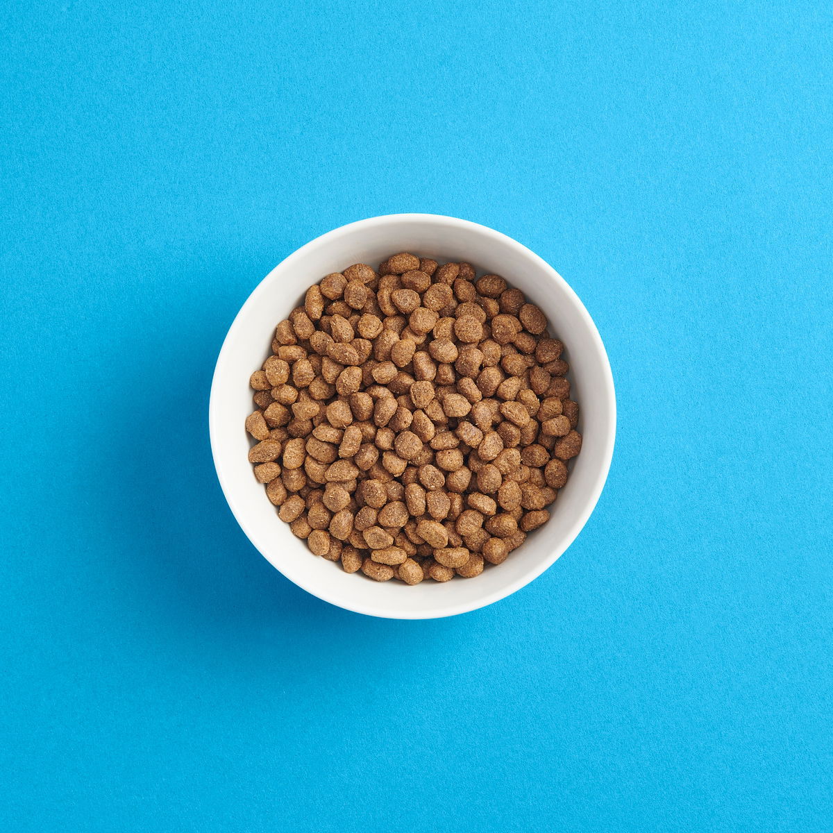 Smaak Dog Puppy Chicken