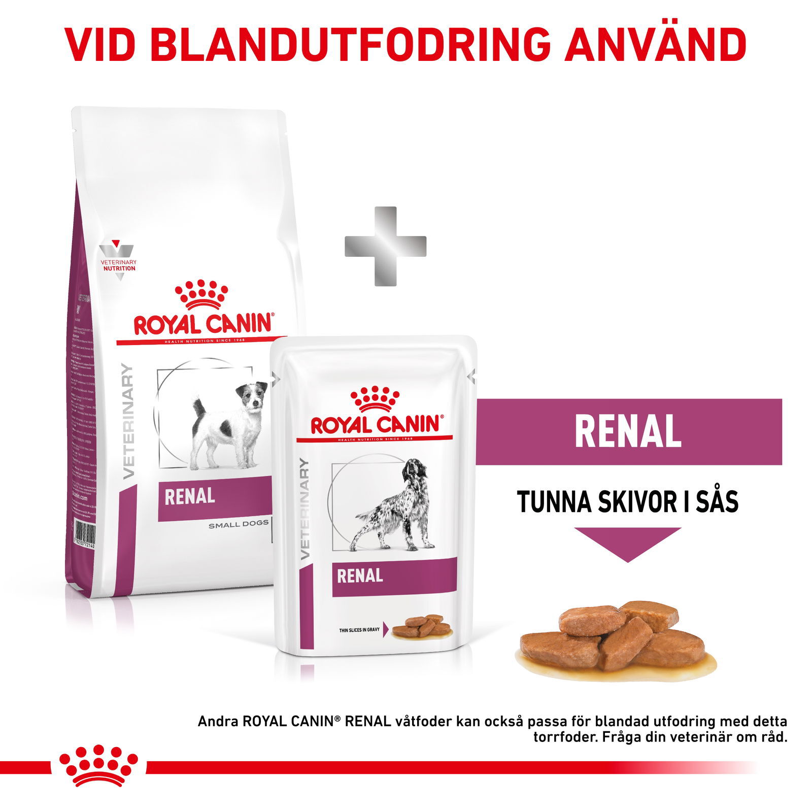 Royal Canin Veterinary Diets Vital Renal Small Dog torrfoder för hund