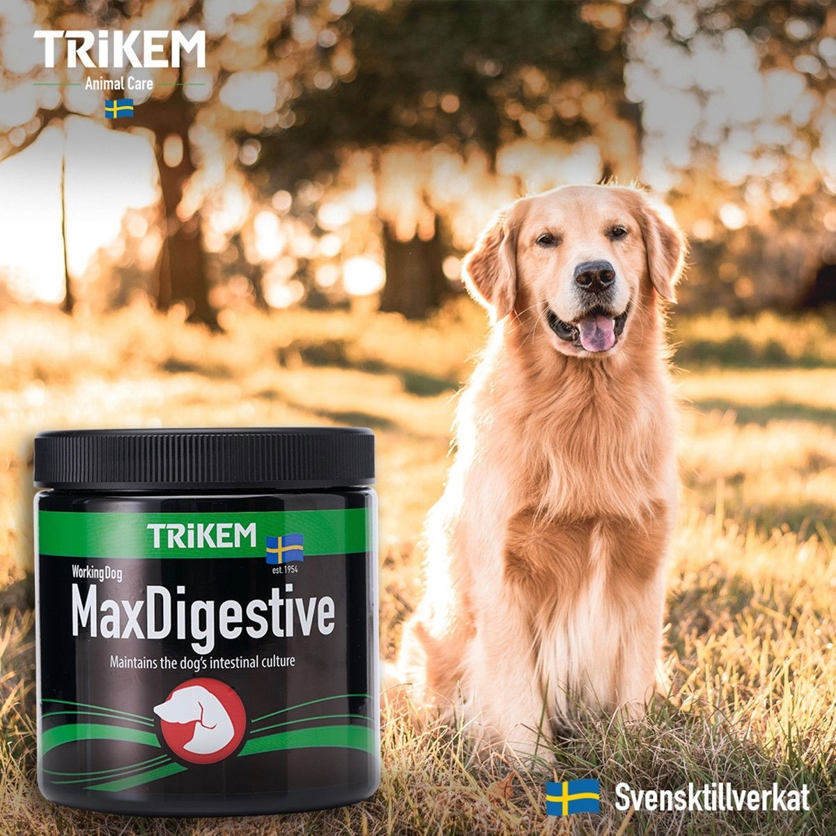 TRIKEM WorkingDog Max Digestive+
