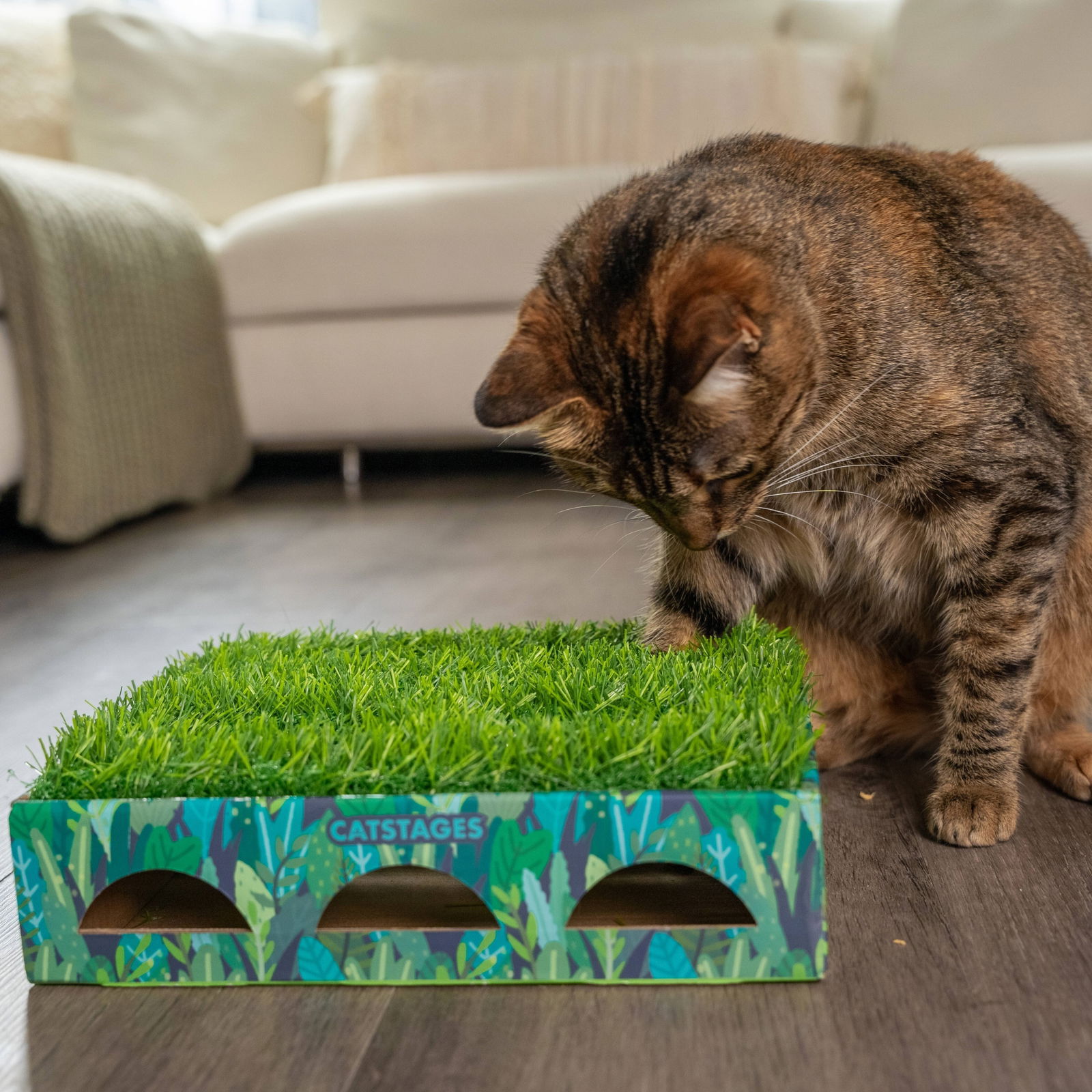 Catstages Grass Patch Hunting Box