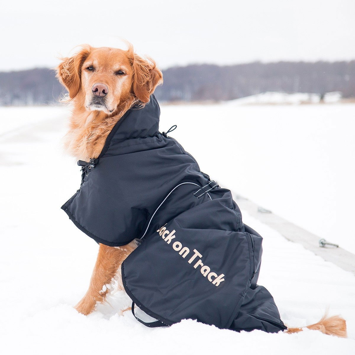 Back on Track Hundtäcke, Svart