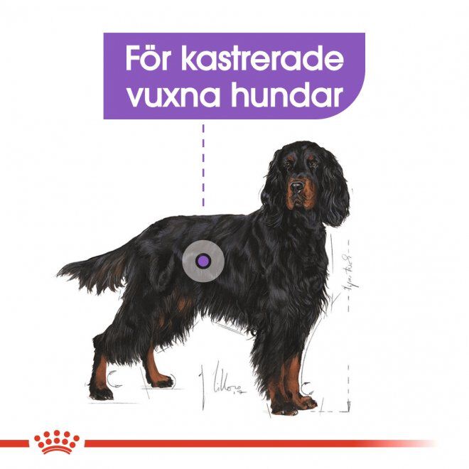 Royal Canin Sterilised Maxi Adult torrfoder för hund