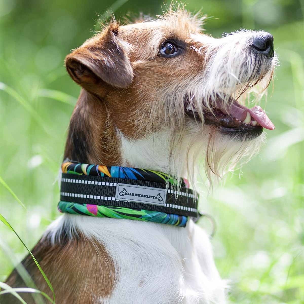 Kusse&Kutta half choke collar, extrawide, lycra, tropical