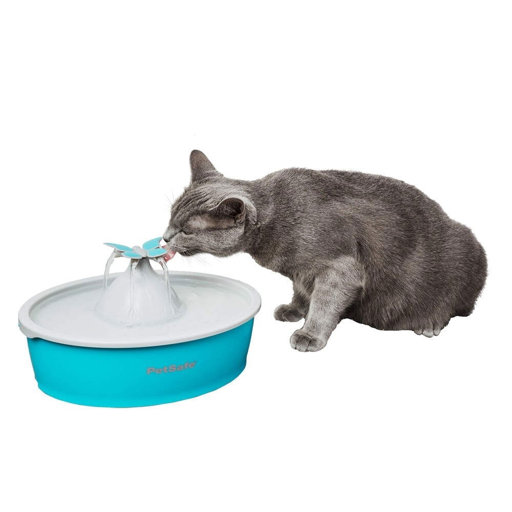 Petsafe Butterfly Water Fountain 1,5L