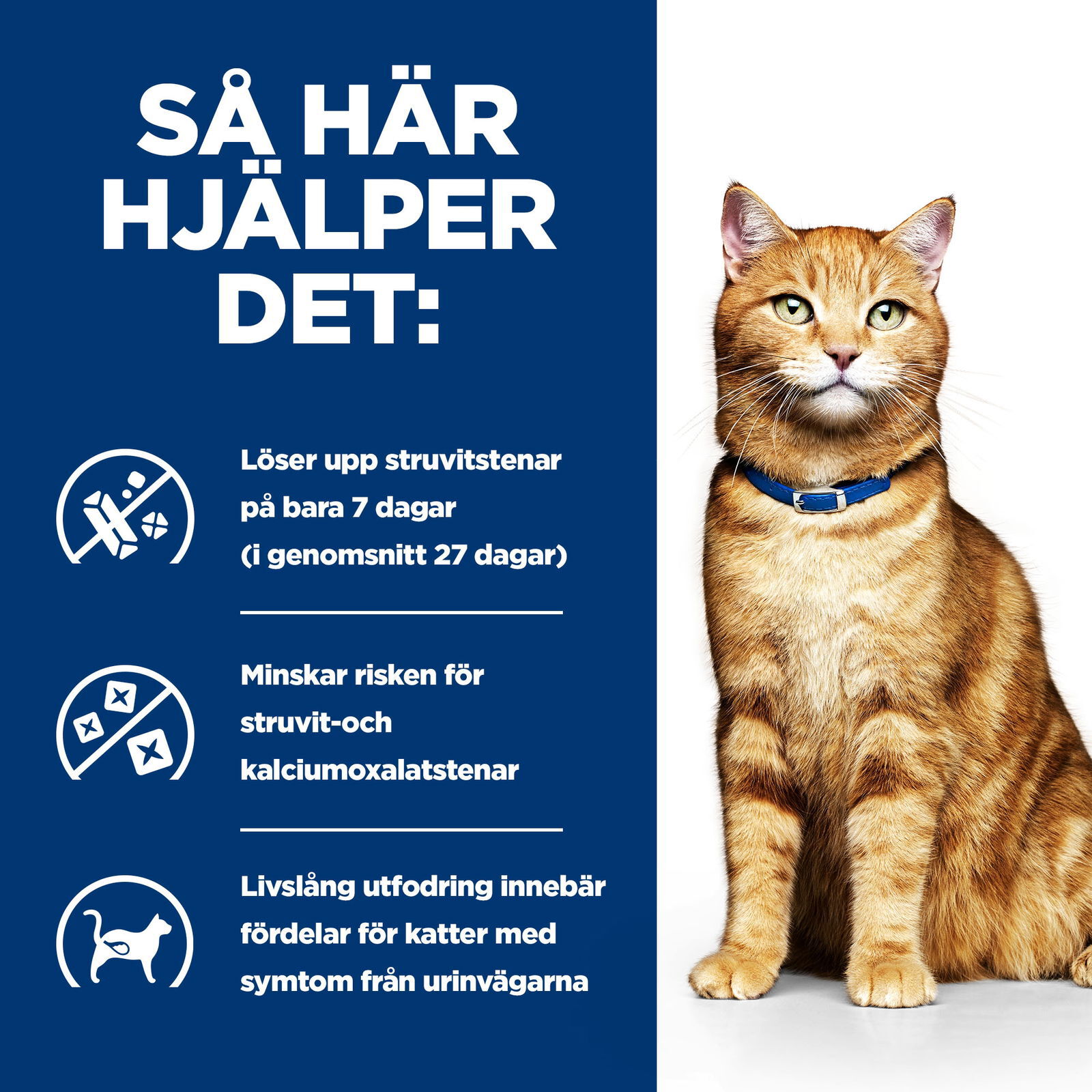 Hills Diet Cat c/d Chicken Portionspåse 12x85g