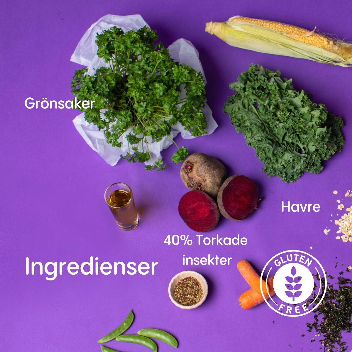 Petgood insect-based cat food adult