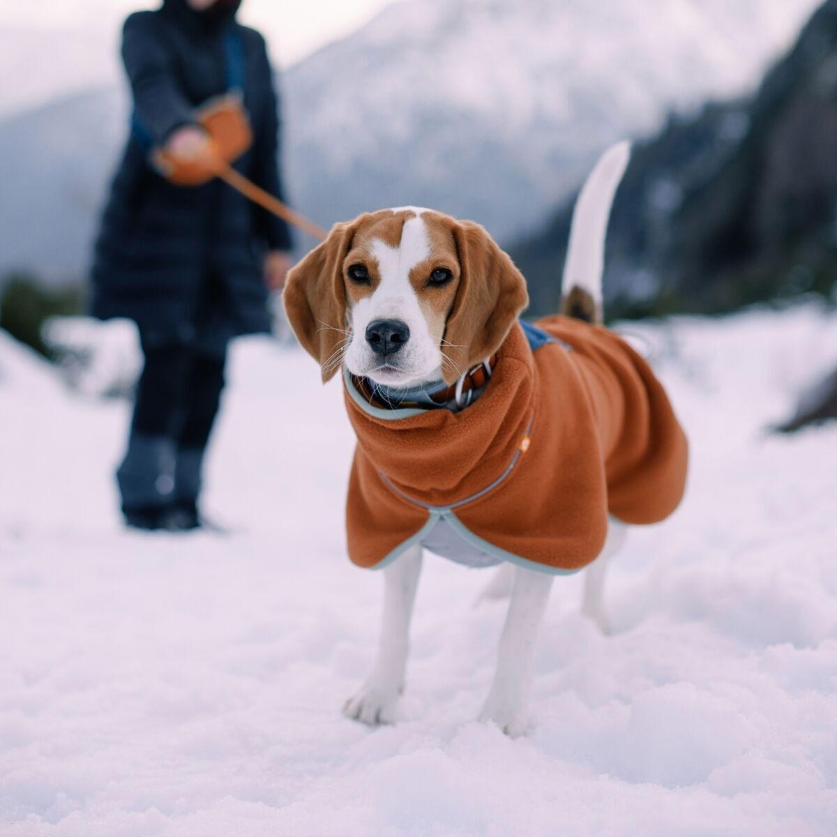 Woolly Wolf Alpha 360 Fleece pullover, Terracotta Mix