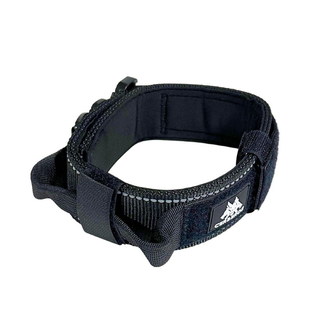 Cerberos Dog Collar Black