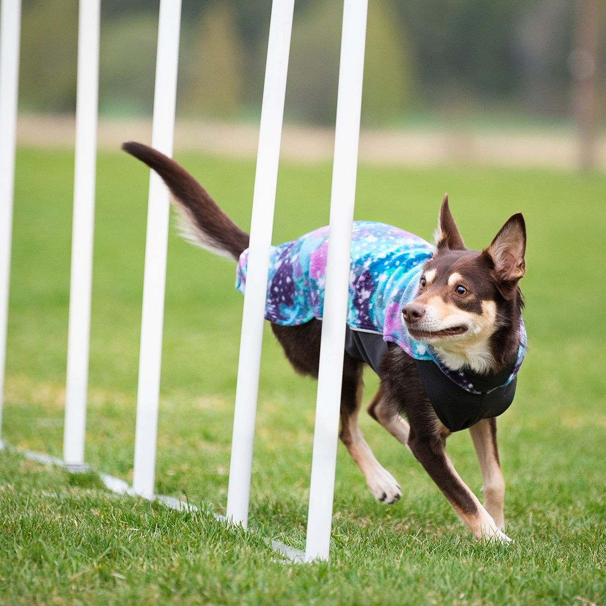 Jumppa Pomppa, Aurora