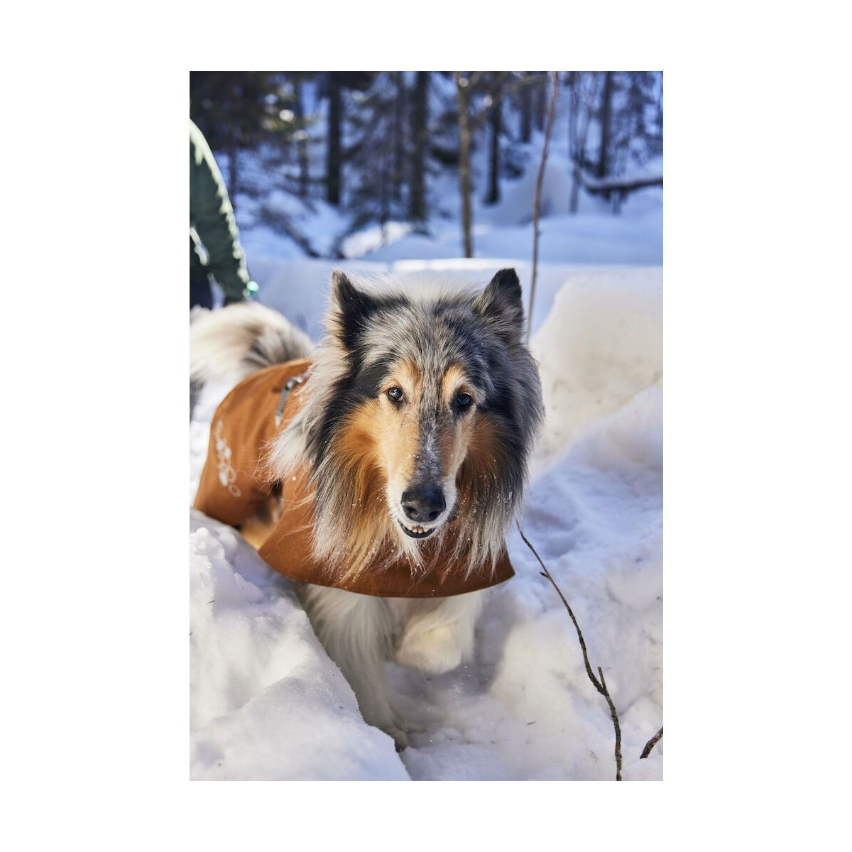 Hurtta Monsoon Coat II ECO desert